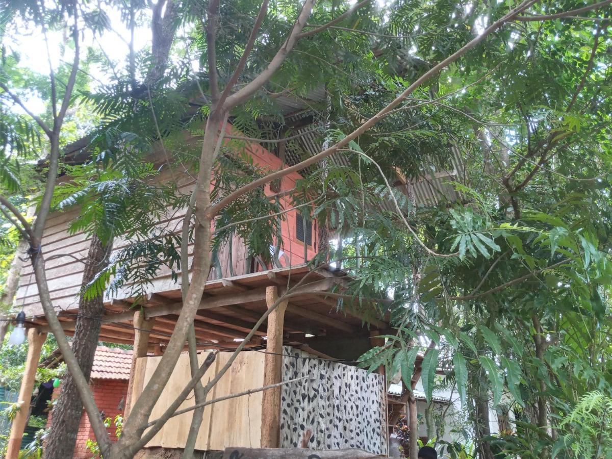 Апартаменти Angry Birds Tree House Хабарана Екстер'єр фото