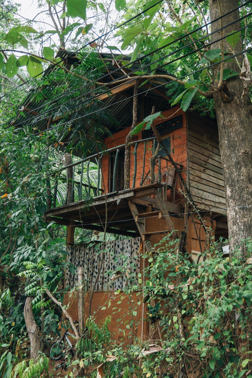 Апартаменти Angry Birds Tree House Хабарана Екстер'єр фото
