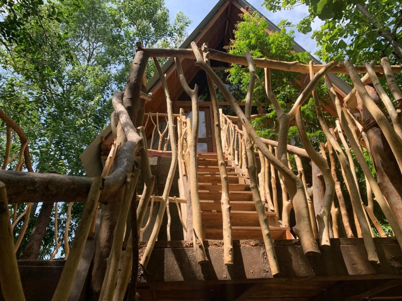 Апартаменти Angry Birds Tree House Хабарана Екстер'єр фото