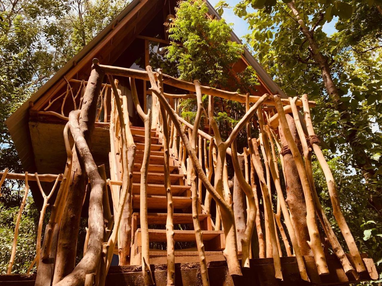 Апартаменти Angry Birds Tree House Хабарана Екстер'єр фото