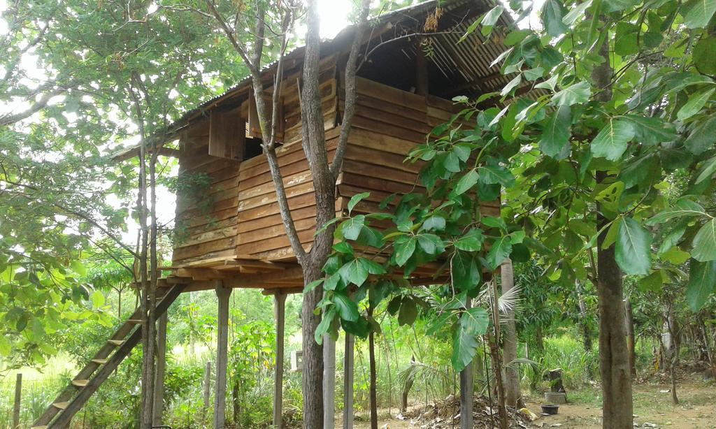 Апартаменти Angry Birds Tree House Хабарана Екстер'єр фото