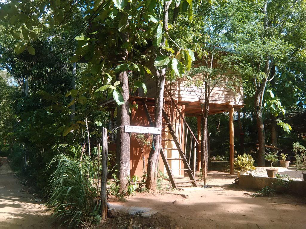 Апартаменти Angry Birds Tree House Хабарана Екстер'єр фото
