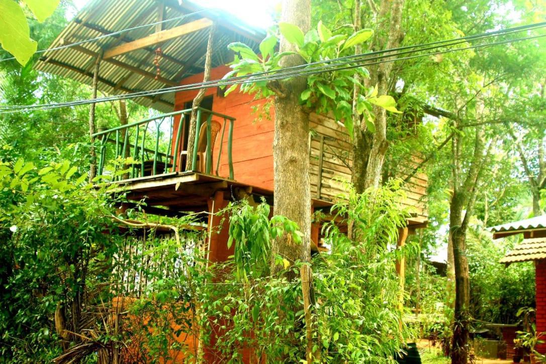 Апартаменти Angry Birds Tree House Хабарана Екстер'єр фото